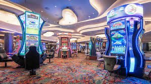 Privacy and account safety guidance for cricekx live casino visitors